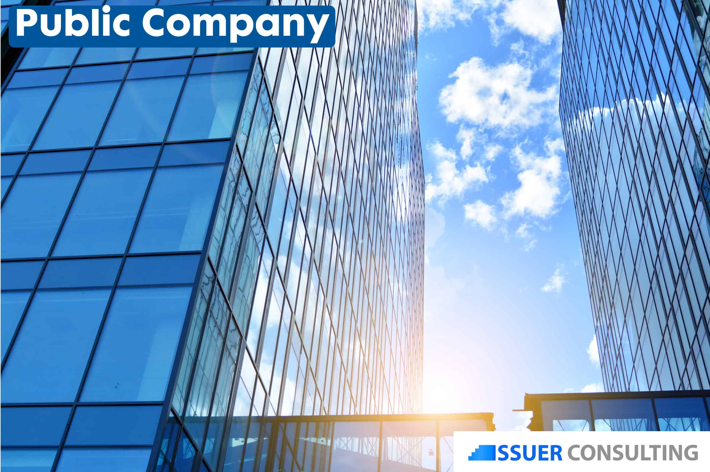 How to Run a Public Company